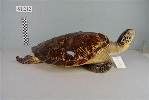 Image description is not available for DU2010.5.212